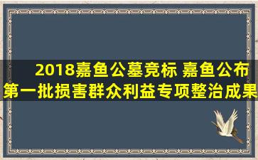 2018嘉鱼公墓竞标 嘉鱼公布第一批损害群众利益专项整治成果